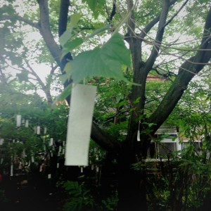 ほしがおか２