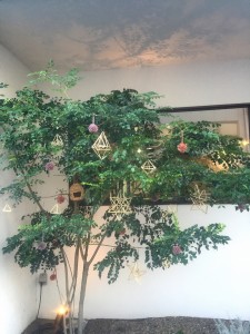 IMG_9740_4