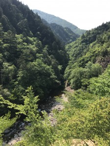 IMG_2043